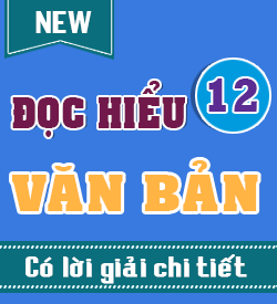 Đọc hiểu văn bản